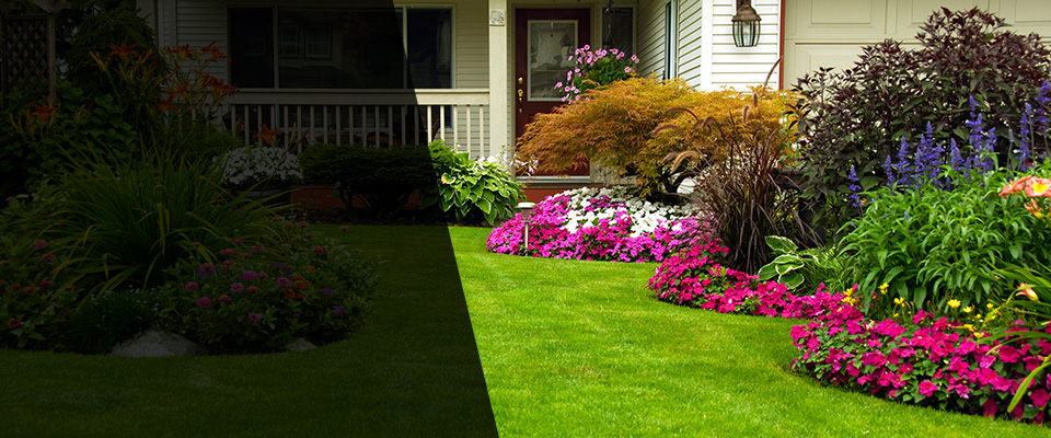 Lahaina Landscapers